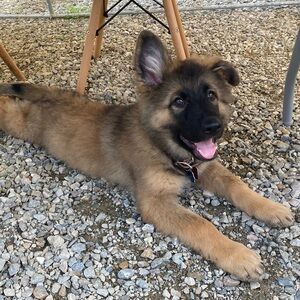 Meet your Posher, Beth